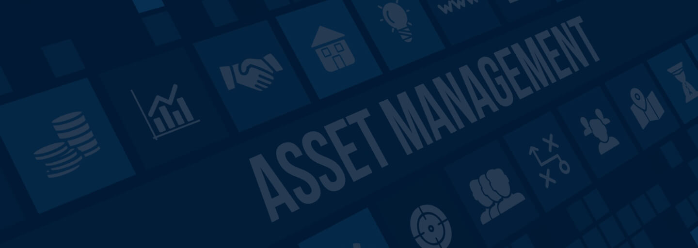 Asset management Software Development Company